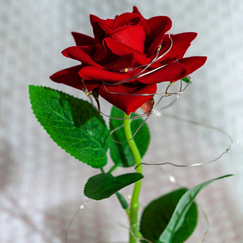 Forever Flower with Two Red Rose and Led Light
