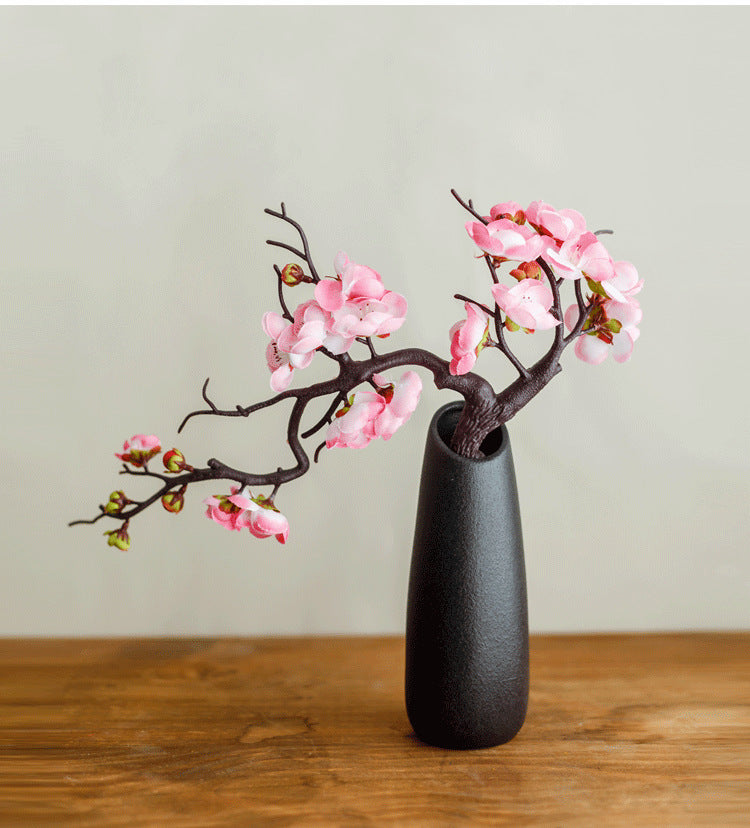 plum blossom indoor plant Plum blossom Series