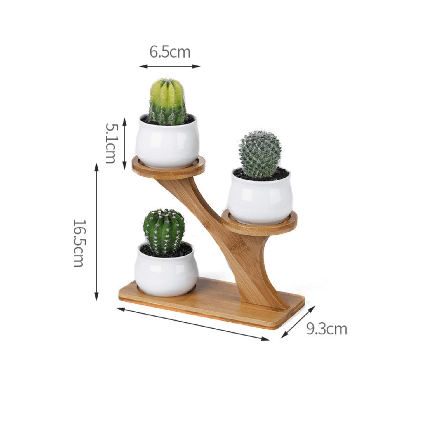 Modern Bamboo Stand Holder for Succulents and Plants