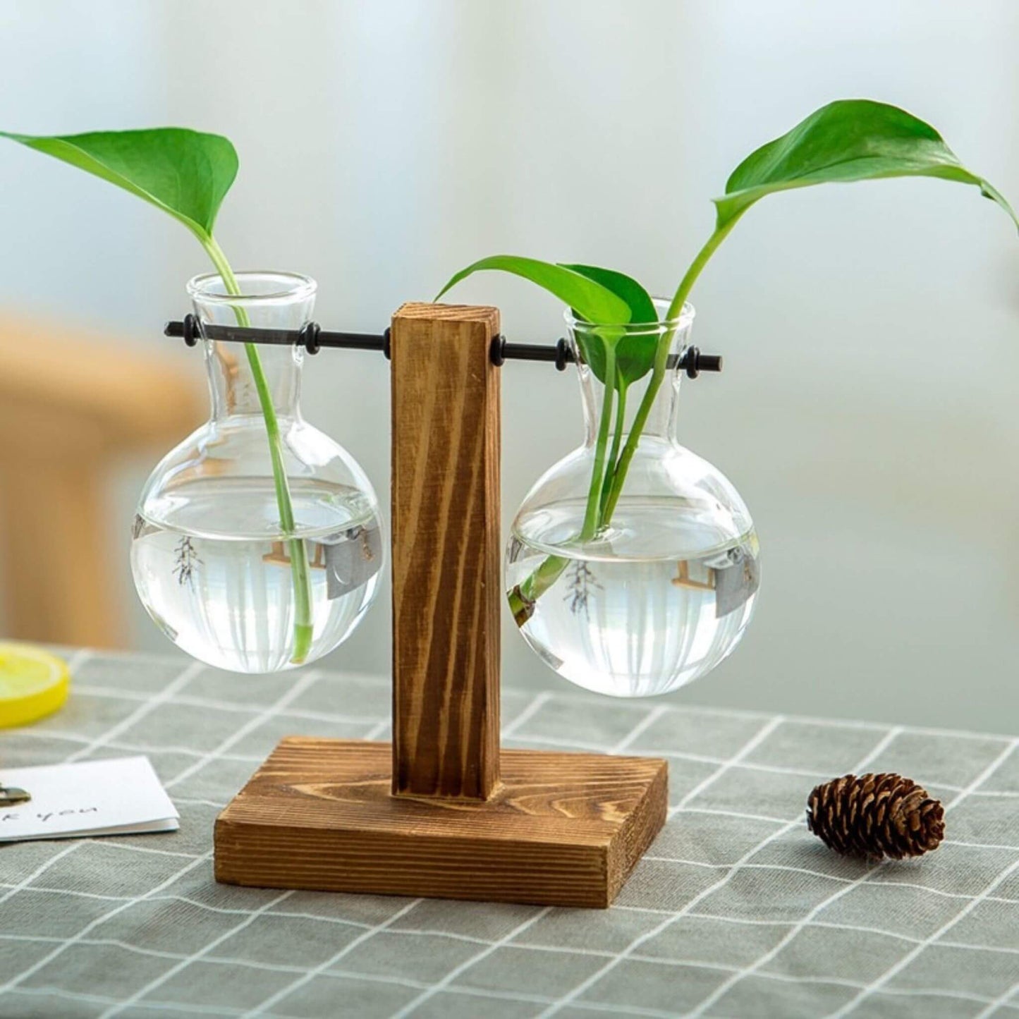 Plant Terrarium for Hydroponics Plants - Inverted T-Shaped