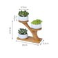 Modern Bamboo Stand Holder for Succulents and Plants