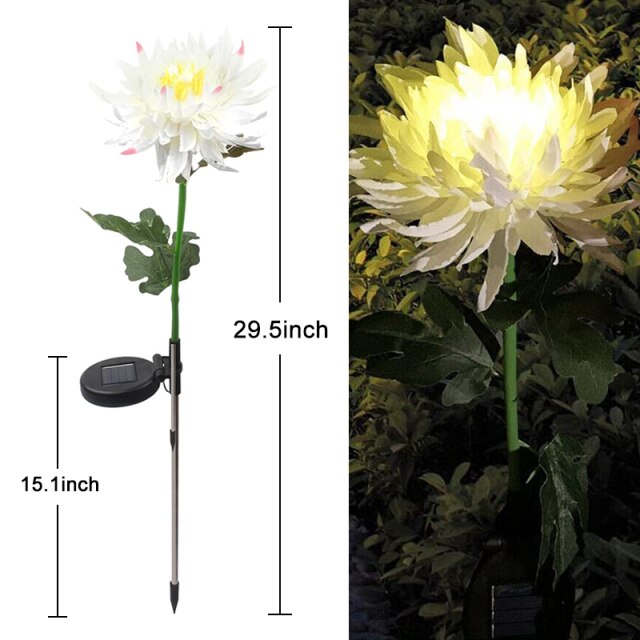 Chrysanthemum solar deals light